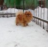 Завеличье Цетана