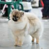 Люмен Эст Крымская Легенда Ночи