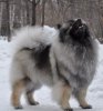 Искорка Любви Из Мирашела