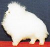 World-Jui Piin Of Chiao Li Ya