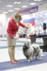 Хамеша Стар Зази Мэйд Ин Лав