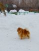 Дилинзе'с Хаус Уизард Фэнтези