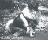 Xaver V. Schnaudertal