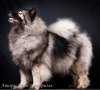 Анигрес Глэм Галадриэль