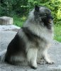 Алисия Нежная