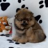 Шарлеман Бонифас Де Шафран