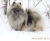 Алмазный Источник Жасмин В Ночной Пелене