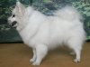 Чолли Вом Ролленден Хаус