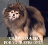 Apolloette For Your Eyes Only