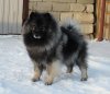 Алмазный Источник Ух Ты Какая