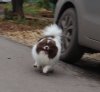 Рус Хаус Ворхут Хейбл Ланкастер