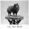 Blue Boy