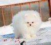 Харизматичная Девочка Фортуна
