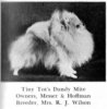 Tiny Tot's Dandy Mite