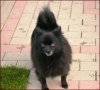 Rita Z Hrabovskych Luk