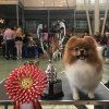 Помэмпайр Берри Берри
