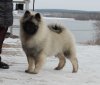 Алмазный Источник Окруженная Любовью