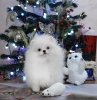 Летняя Радуга Бьютифул Фест Леди
