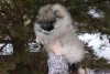 Бусинка Из Русского Камелота