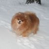 Феридж Лайт Ульяна