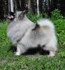 Ягодка Из Мирашела