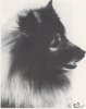 Repeta's Rhapsody