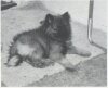 Repeta's Backer-Up
