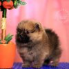 Жемчужная Империя Хюрем
