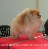 Succes Triomphal Baiser De Lamour