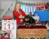 Помстайл Ямайкас Найт