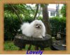 Mayopom Feebee