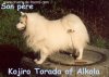 Kojiro Torada Of Alkola