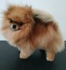 Chanel From Glamouros Toys