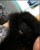 Кристал Яниры Челленджер