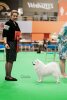 Махо Мирай Леа
