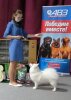 Юниверс Фантазм Изанами