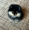 Смирнов Стайл Юлия