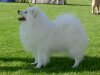Noidens White Zimba Of Hana