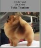 Tokie Titanium
