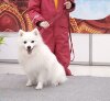 Зима От Килиной