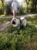 Ева