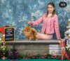 Ариолстар Елегант Эмили