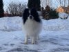 Планета Самоцветов Венера