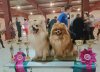 Шуайла Рожденная Быть Звездой
