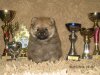 Энжэлик Смайл Мистериоус Чарм Фор Лак