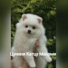 Цунени Катцу Манами