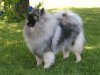 Kittihof's Chiquitita