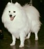 Mor Idas Milou