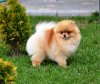 Ketty Pretty From Fairyland Ukraine