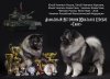 Алмазный Источник Юкатан В Серебре